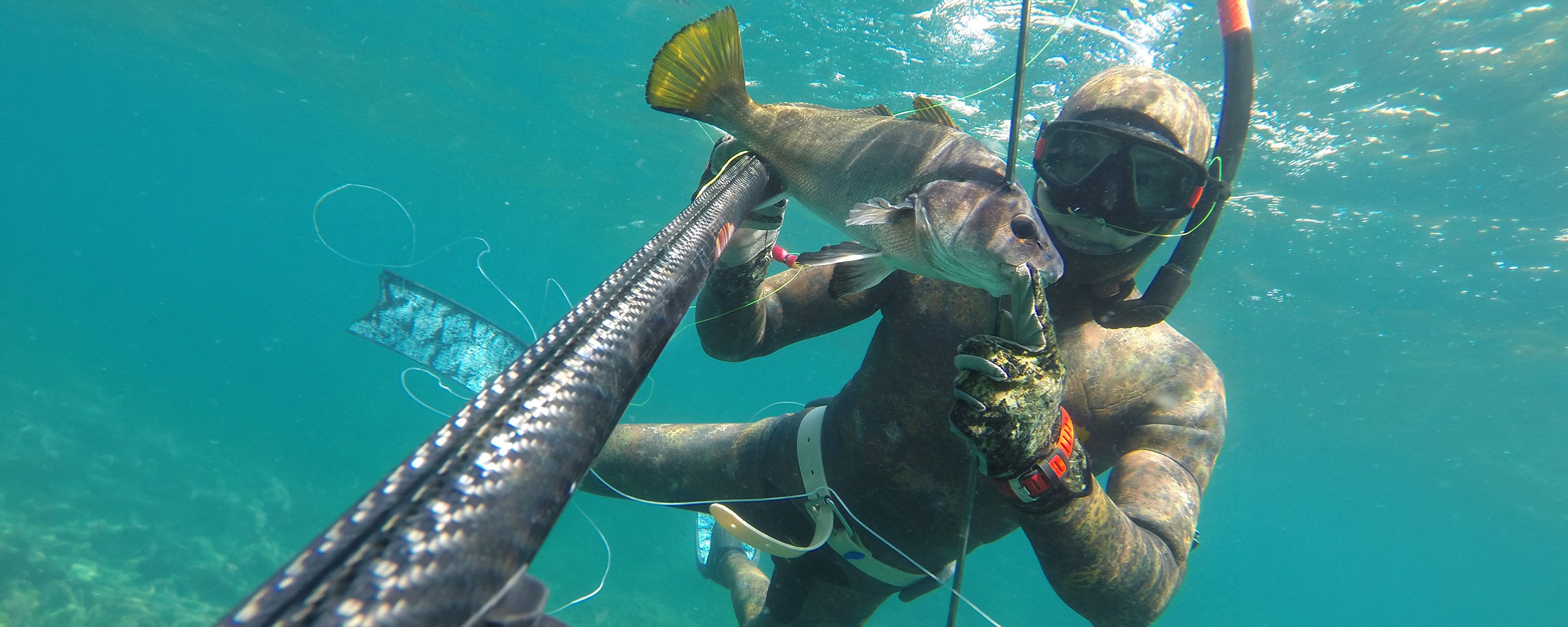 Where Accuracy Meets Adventure