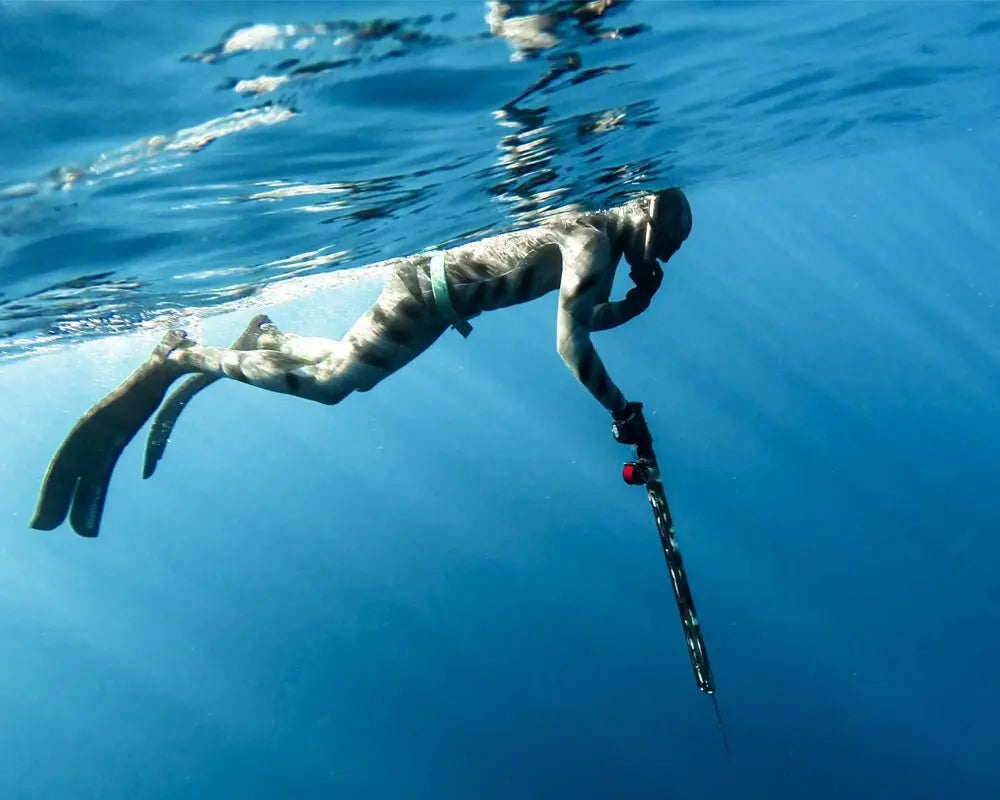 Adventure of pole spear Spearfishing