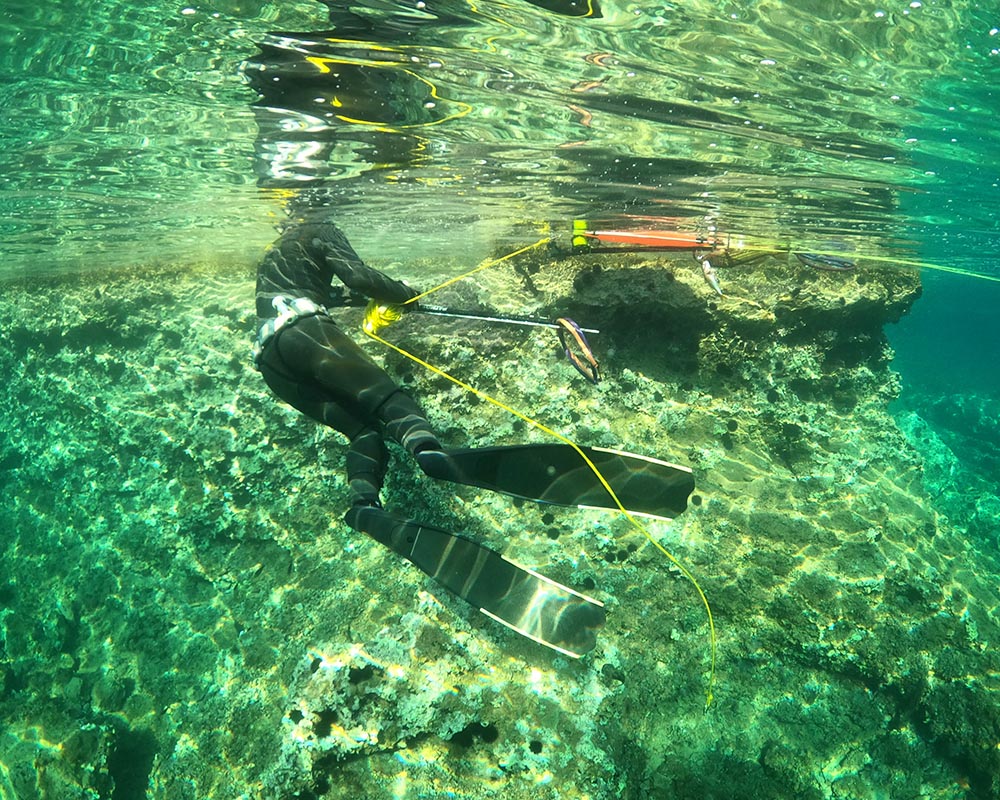 The Ultimate Guide to Rollers: Boost Your Spearfishing Power and Precision