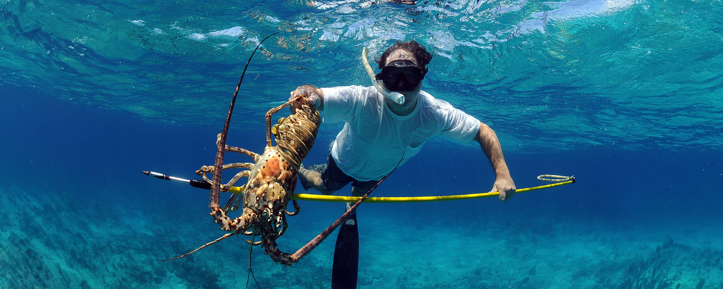 Take Your Spearfishing to the Next Depth